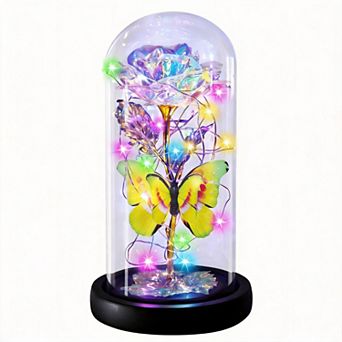 Butterfly Rose Light Up Women Mother Birthday Christmas Couple Gift
