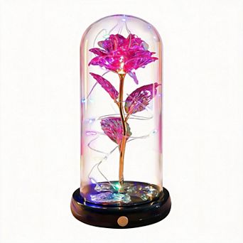 Glass Eternal Rose Dome Butterfly Women Mother Birthday Christmas Couple Gift