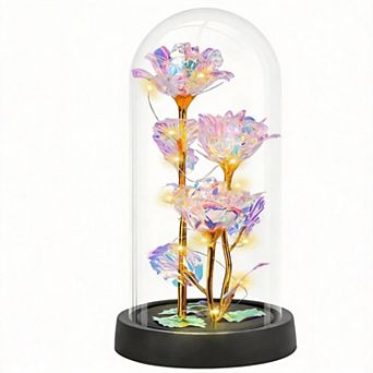 Glass Rose Light Up Dome Women Mother Birthday Christmas Couple Gift
