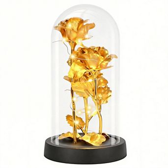 Glass Rose Light Up Dome Women Mother Birthday Christmas Couple Gift
