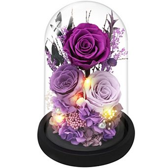 Preserved Rose Glass Dome Women Mother Birthday Christmas Couple Gift