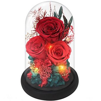 Preserved Rose Glass Dome Women Mother Birthday Christmas Couple Gift