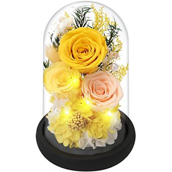 Preserved Rose Glass Dome Women Mother Birthday Christmas Couple Gift