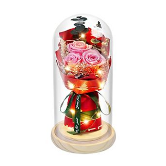 Preserved Rose LED Glass Women Mother Birthday Christmas Couple Gift