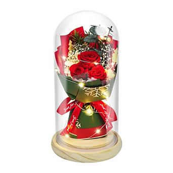 Preserved Rose LED Glass Women Mother Birthday Christmas Couple Gift