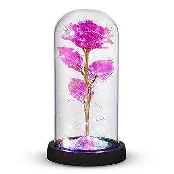 Rose LED Light Eternal Glass Women Mother Birthday Christmas Couple Gift