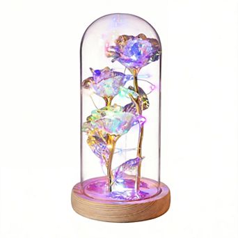 LED Galaxy Glass Rose Dome Light Up Preserved Flower Women Mother Birthday Christmas Couple Gift