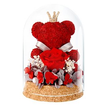 Preserved Rose Glass Dome Bear Women Mother Birthday Christmas Couple Gift