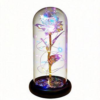 Galaxy Crystal Rose Light Glass Dome Women Mother Birthday Christmas Couple Gift
