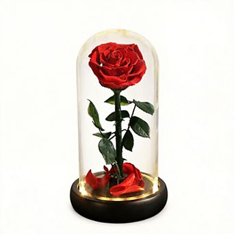 Rose Glass Dome Light Up Women Mother Birthday Christmas Couple Gift