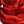 Red Rose 2