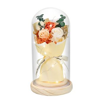 Preserved Rose Glass Dome LED Women Mother Birthday Christmas Couple Gift