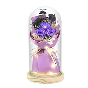 Preserved Rose Glass Dome LED Women Mother Birthday Christmas Couple Gift