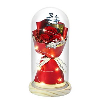Preserved Rose Glass Dome LED Women Mother Birthday Christmas Couple Gift