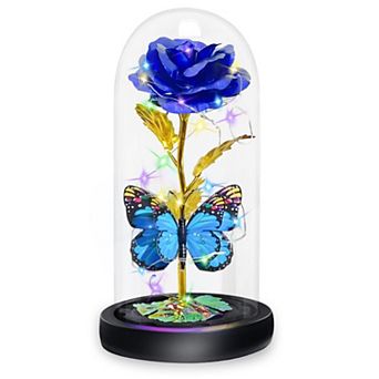 Rose Butterfly Glass Dome Light Women Mother Birthday Christmas Couple Gift