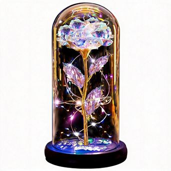 Light Up Rose Glass Dome Women Mother Birthday Christmas Couple Gift