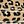 Brown Leopard