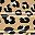 Brown Leopard