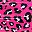 Hot Pink Leopard