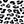 White Leopard