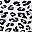 White Leopard