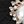 Black Flat Bow