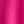 Festival Fuchsia