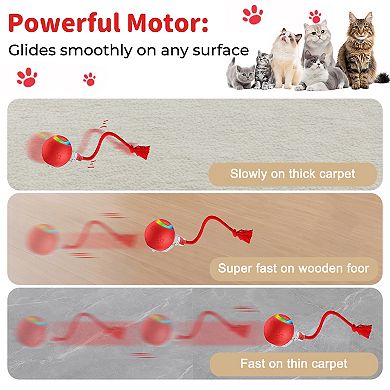 YEVYO Interactive Cat Ball Toy with LED Lights & Bird Chirping Sound Motion Activated for Indoor Cat