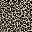 Black Leopard