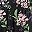Blue Black Flowers