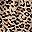 Brown Black Leopard