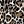 Brown Leopard Print