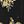 Floral Black Gold
