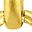 Gold Tone