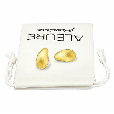 Aleure Precioso Sterling Silver Sandblast Texture Sculptured Oval Leverback Huggie Earrings