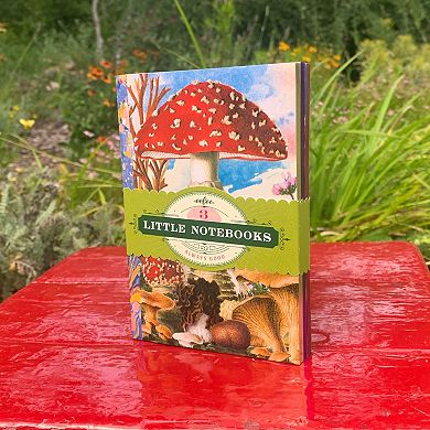 eeBoo Mushroom 3-Pack Nature Themed Little Notebooks