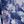 Navy Spray Floral