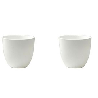 Pack of 2 White Plastic Plant Pots 5.5 Inch Round Succulent Planters