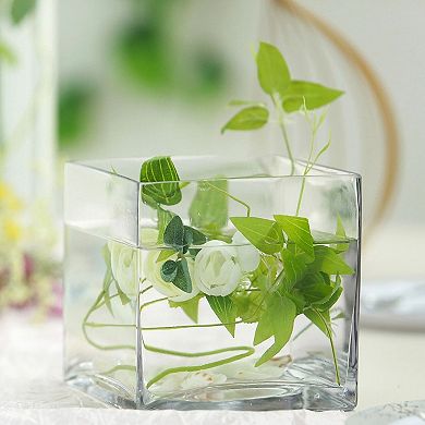 Pack of 6 Clear Glass Cube Vases 6 Inch Wedding Centerpiece Decor