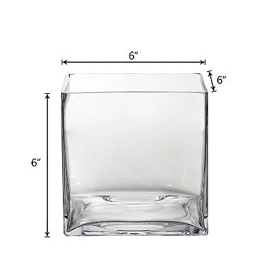 Pack of 6 Clear Glass Cube Vases 6 Inch Wedding Centerpiece Decor