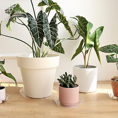 JUANWANG 20-Pack Clear Plant Saucers, 6/8/10/12 Inch Flower Pot Trays