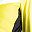 Yellow Plum And White