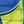 Ocean Blue And Lime