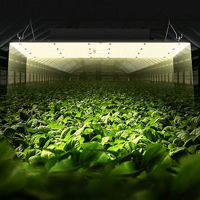 VEVOR LED Grow Light, 400W Full Spectrum Dimmable, High Yield Samsung 2B1B Diodes Growing Lamp