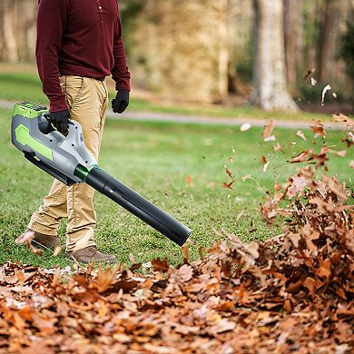 VEVOR Cordless Leaf Blower, 60V Powerful Electric Leaf Blower with 5.0Ah Battery, Fast Charging