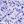 Floral Purple