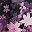 Black Pink Flower