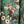 Floral Green