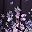 Floral Purple