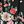 Flower Black